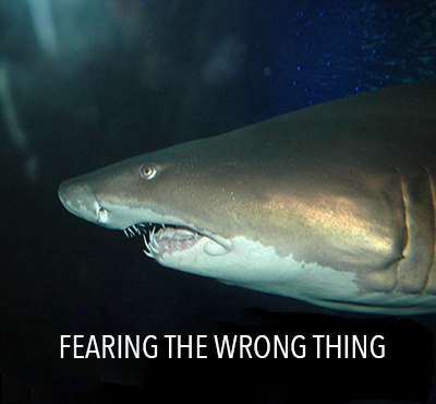Fearing the wrong thing